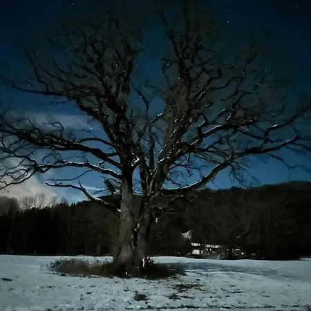 Mit Wundervollen Bergblick לנגריס