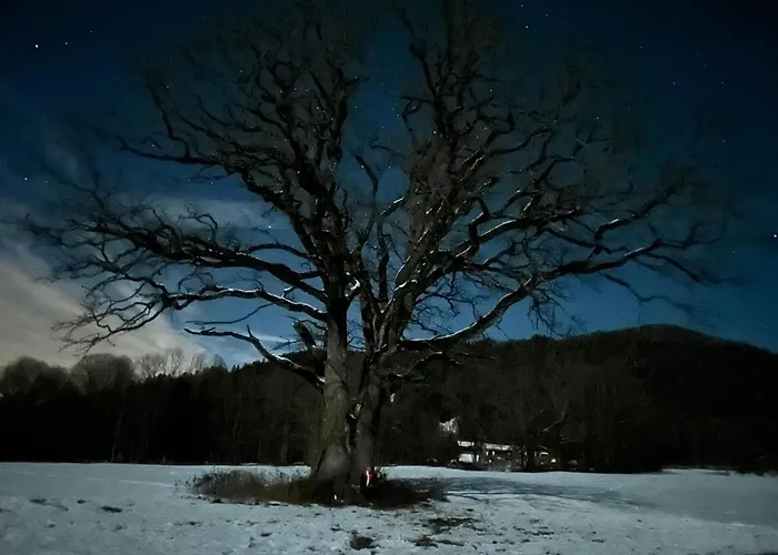 Mit Wundervollen Bergblick & E-auto Ladestation Lenggries